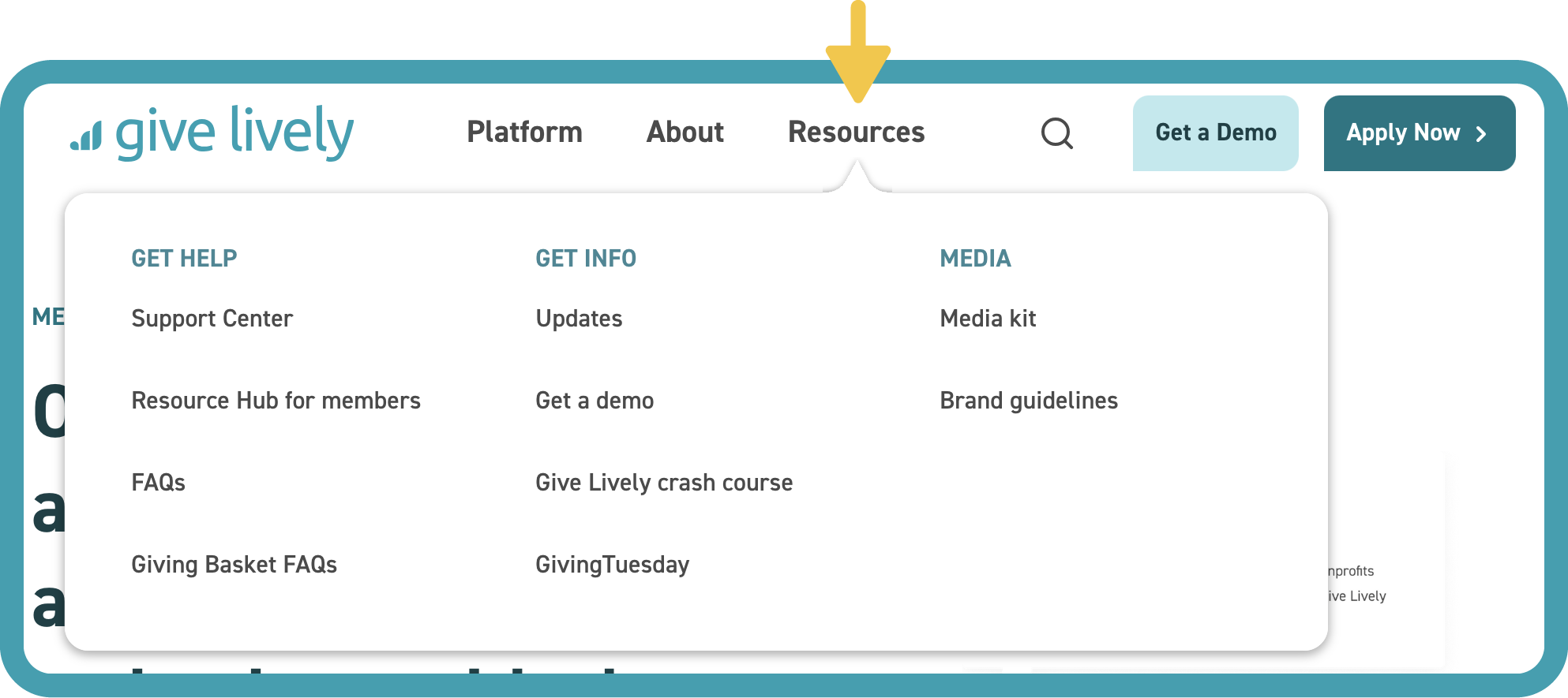 Screenshot of the Give Lively website showing the "Resources" dropdown menu.