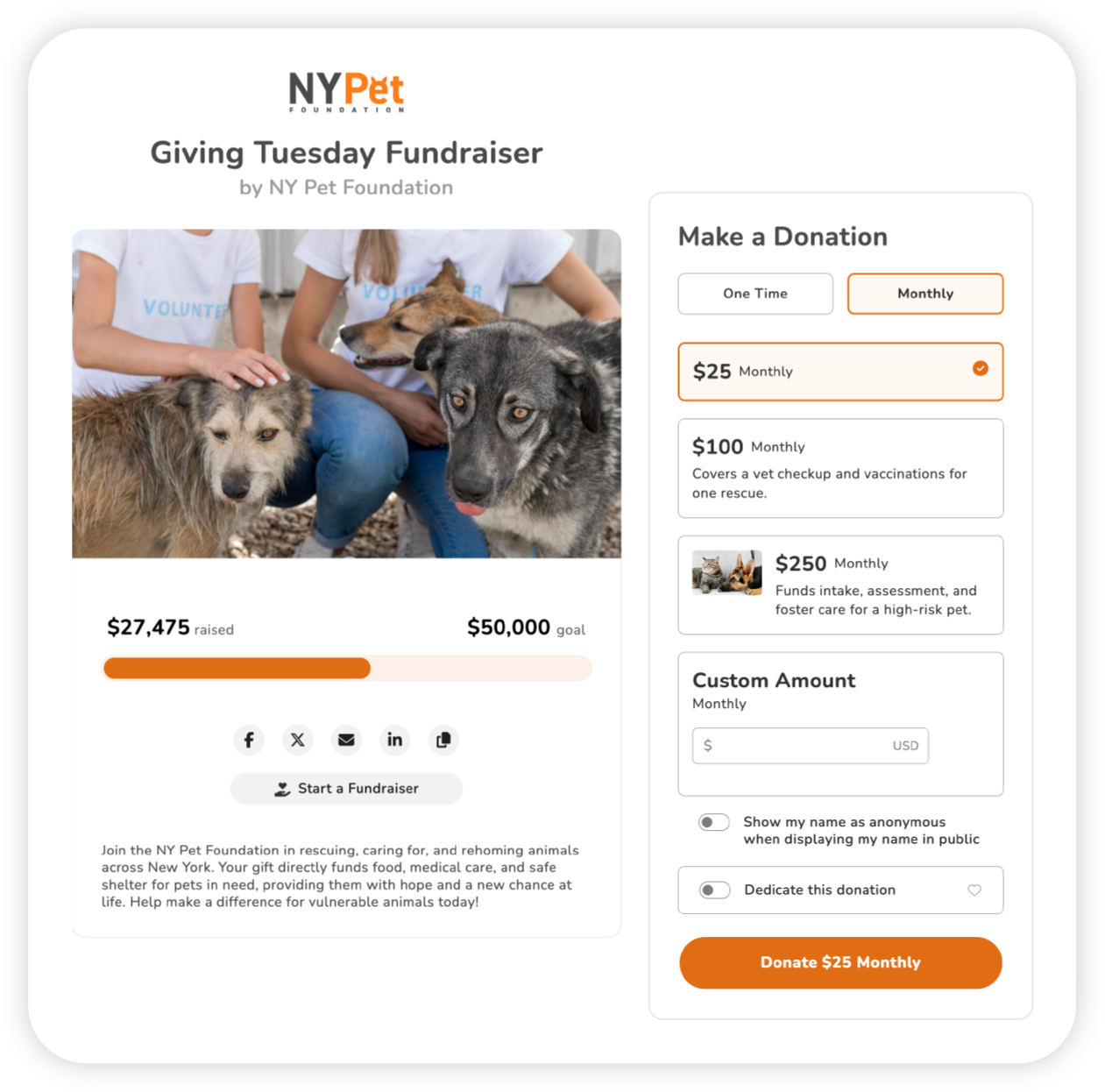 Part of a Campaign Page showing no design elements