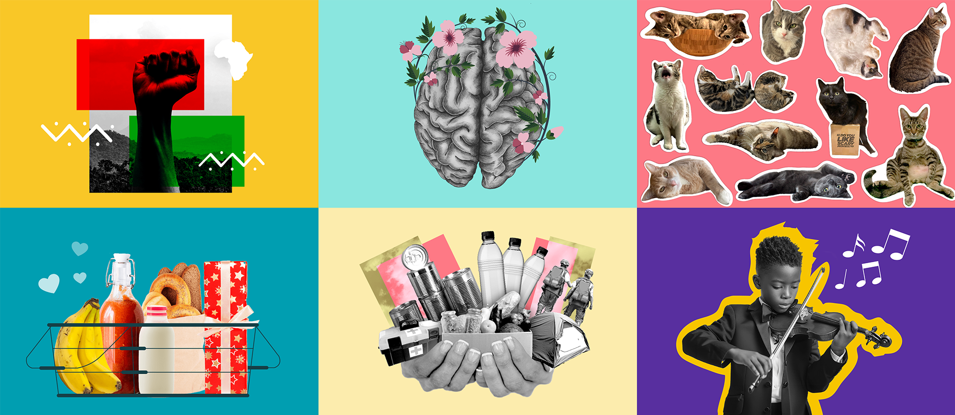 A composite image of six thumbnail examples from Give Lively's Nonprofit Spotlight Updates Page articles